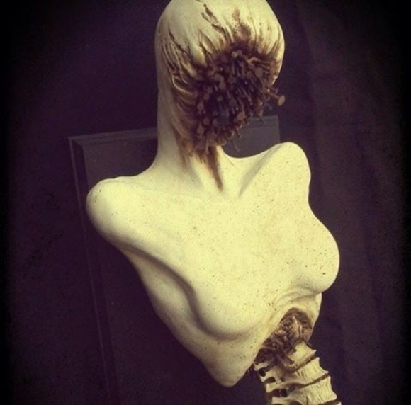 Meet your Posher, Nathan - Picture 1 of 1